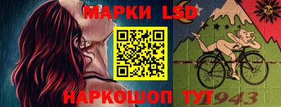 шишки Будённовск