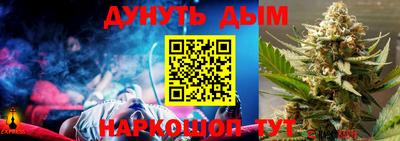 шишки Будённовск