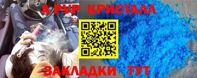 шишки Будённовск