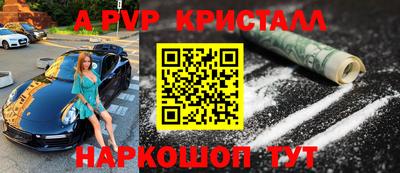 шишки Будённовск