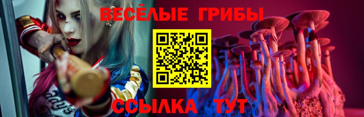 Псилоцибиновые грибы мухоморы  Вход с VPN  Кудымкар 